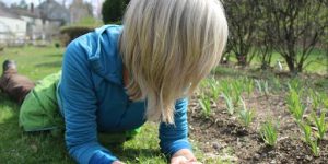 How to Sow Seeds