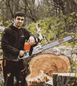 Trusted Tree Care Specialist