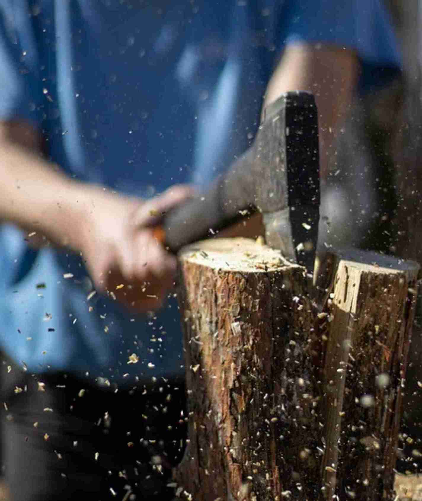 Tree Service in Grove City