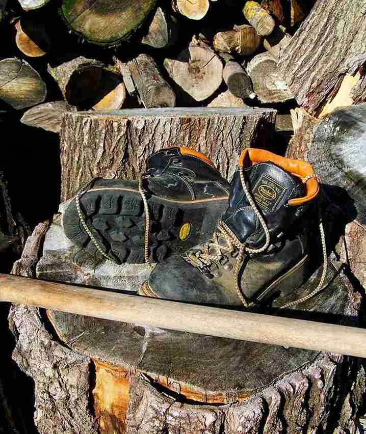 Tree Service Hilltop