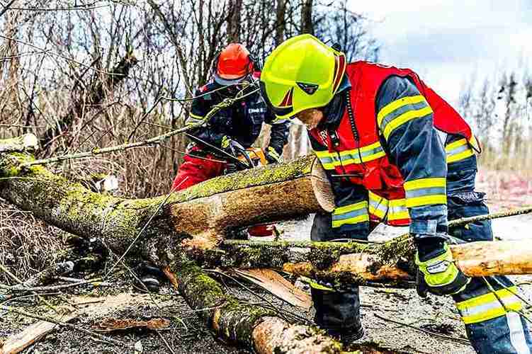 Tree Service Hilltop
