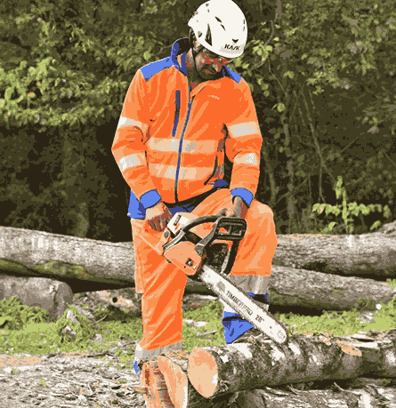 Tree Pruning Service