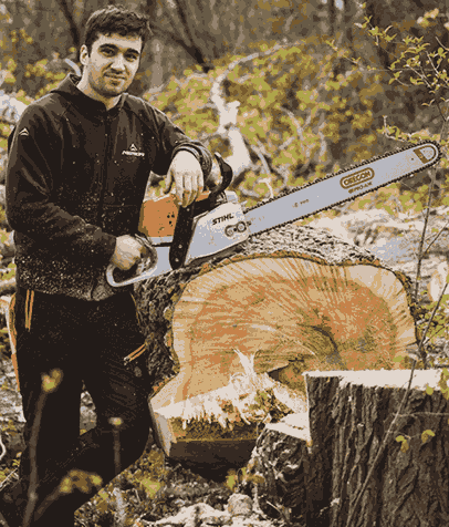 tree service in bexley