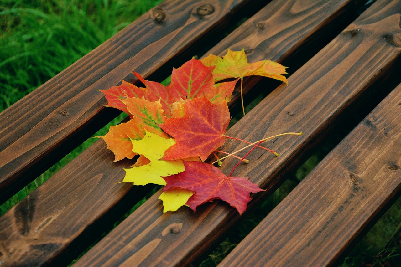 Pruning a Silver Maple: Tips for Healthy Growth