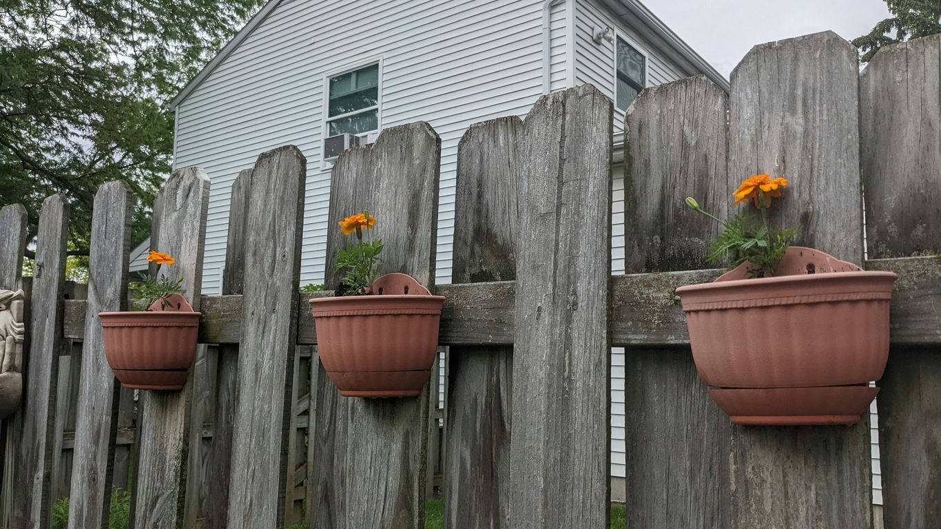 What Growing Zone Is Columbus Ohio