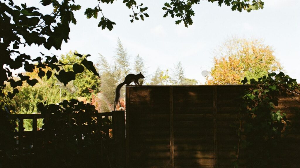 what growing zone is ohio